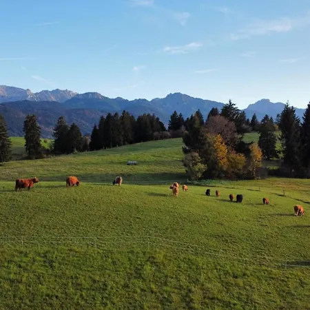Apartamento Beim Bohlar - Geiselstein Halblech