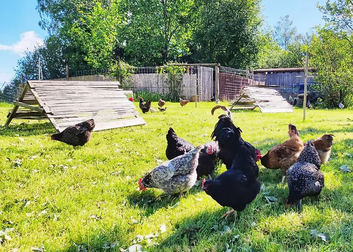 Lejlighed Beim Bohlar - Geiselstein Halblech